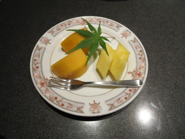 お腹いっぱいになりました。<br />いい所だ。迷って決めた甲斐があったってもんだわ。<br /><br />こうして旅行初日は終了です。<br />