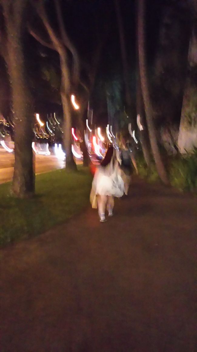 もうけっこう遅い時間の夜道を歩く。<br /><br />荷物も沢山ぶら下げて。<br />1.89㍑のオレンジジュースも担いで。<br /><br />しかも何故か遠回りさせるあーパパ。<br />わざとか？わざと。<br /><br />タクシーならドンキから＄10くらい。