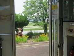 13:10　神杉駅に着きました。（三次駅から9分）

ホームの脇には水田があります。