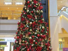 もうクリスマス色で
いっぱいの
羽田空港内