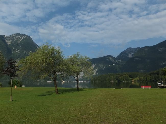 【朝】<br /><br />天気予報は雨、でしたが朝目覚めると青い空が