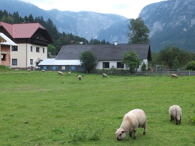 【オーバートラウンの街】<br /><br />クリッペンシュタインの中腹にはアイスケイブなど見るところもあるので、とりあえず山へと向かうことにします。