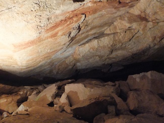 【クリッペンシュタイン】