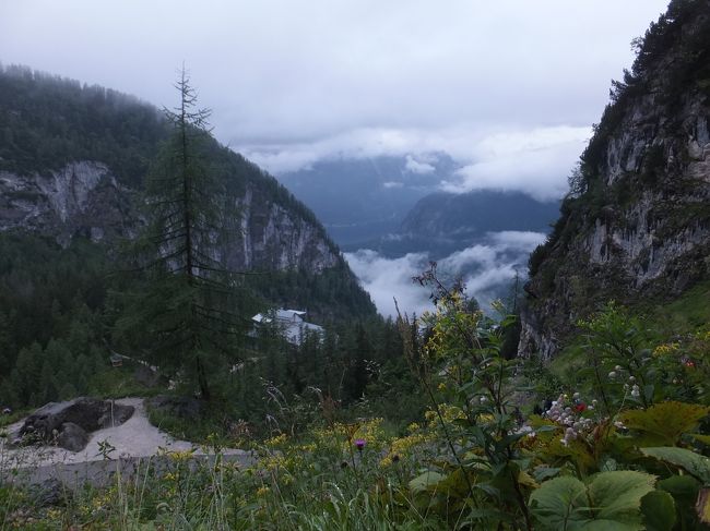 【クリッペンシュタイン】