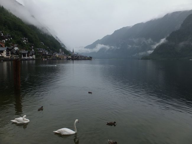 【ハルシュタット】