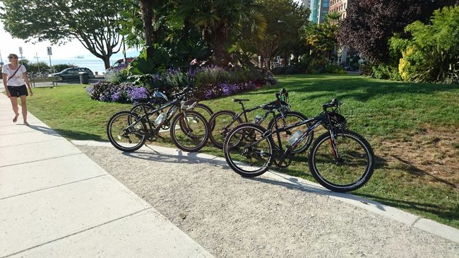 さっそく路面電車？バス？？に乗ってスタンレーパークに向かうことにしました。<br />友人が調べてくれていた日本人が経営している自転車屋さん（OWL BIKE)に向かい、チャリを借りて、ぐるっとスタンレーパークを1周して戻ってくるプランです★<br /><br />日本人仕様の少し小さめの自転車をお借りました〜