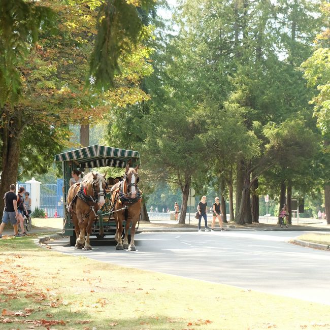 ピアスやらなんやらを買い込み再出発<br /><br />ちょうど前を馬車ツアーが通り過ぎていきます。<br />