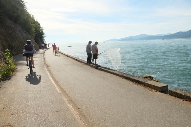 急に釣り人が増えてきました。