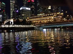 クラークキーに移動し、そこからマーライオンパークまで夜景を見ながらリバークルーズ。地上から見るより高層ビルなどの夜景は迫力がありました。
夜景に興味はそれ程ないけれど、おぉ〜っ! となりました。
そして初めてのマーライオンはこの船から見ました。シンガポールといえば、マーライオンなのに、そういえばこの日までマーライオン見ていなかった。