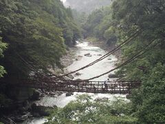 かずら橋の入口まで歩きます。
途中でかずら橋の全景が見えます。