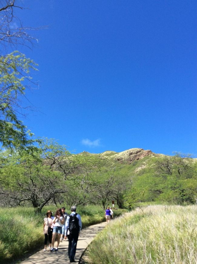 山頂まで30分といわれたが、もう少しかかりそう。<br />いざ出発。