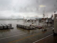 伊丹空港は雨。ＪＡＬの小型飛行機で青森空港へ向かいます。
（写真の飛行機は別の便です）