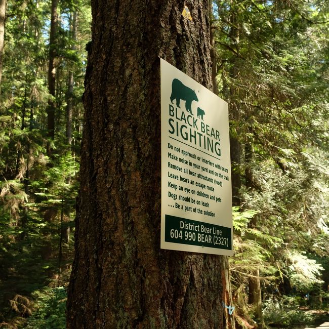 つり橋の向こうのトレイルを歩くことにしました。<br /><br />くまが出るようです･･･<br />こんなに人がいるのに･･･