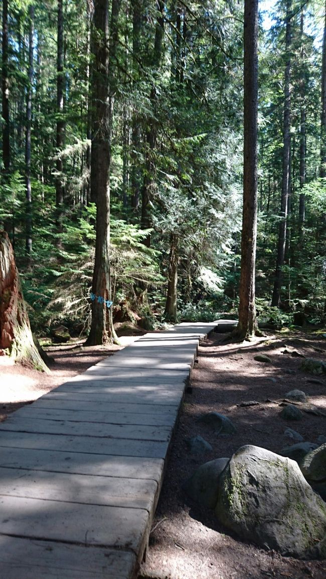 ずんずん歩いていきます。<br />いいお天気で気持ちいいです♡