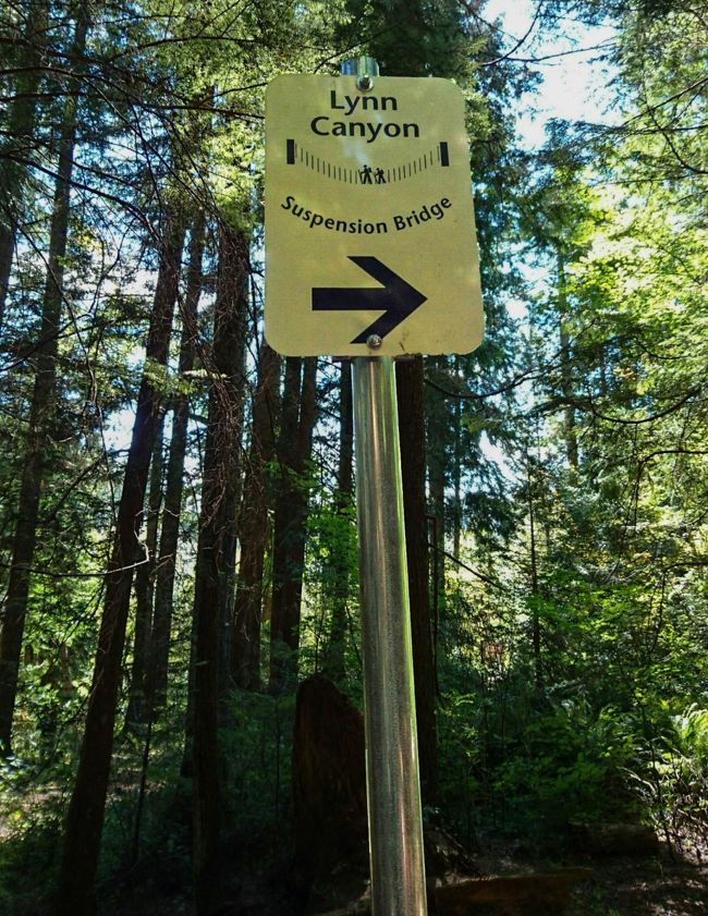 念願のつり橋です！