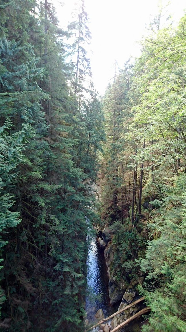 PIPELINE BRIDGEはいたって普通の橋でした。<br />橋からの眺め<br />