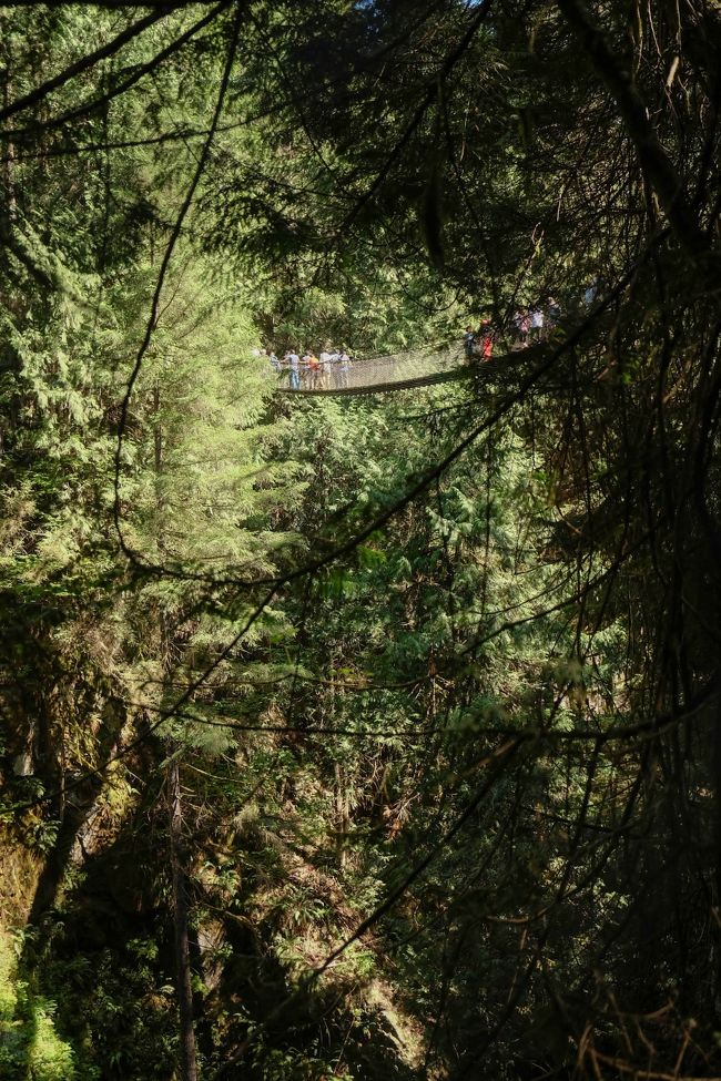 サスペンションブリッジのところまで戻ってきました。<br />つり橋の下は写真で写っているよりさらに下が深くて、若者たちが飛び込みをして楽しんでいました･･･<br /><br />つり橋の高さは50メートル、15階建てのビルぐらいの高さで、1912年に作られたものだそです。