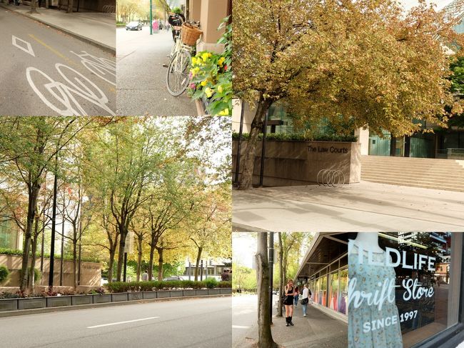 部屋に帰って一眠りしようと思ったのに、写真撮ってぶらぶらしてたら集合時間でした。<br />しょんぼり。