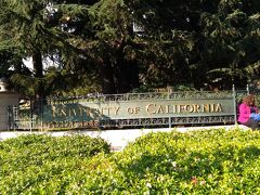 UC berkeley に来ました。夏休みなのか土曜日だからか人は少なかったです。
