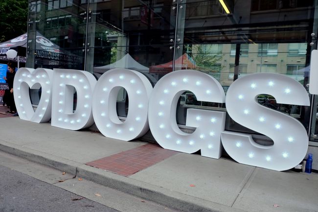 駅のほうへもどるとなにやらワンちゃんの野外イベントが開催されていました。