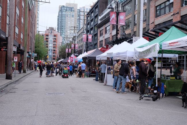 うろうろと覗いていると試食用のドッグフードやおやつをたくさんくれました。<br />マーブルさん、今回はお土産持って帰りますからね〜