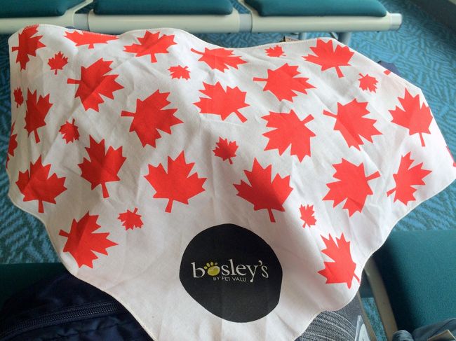 マーブル氏用のバンダナも購入。<br />（着用するとやたらとメーカー名のところばかり目立つので、そこにカナダマークをあしらって欲しかったな〜というのが正直な感想）