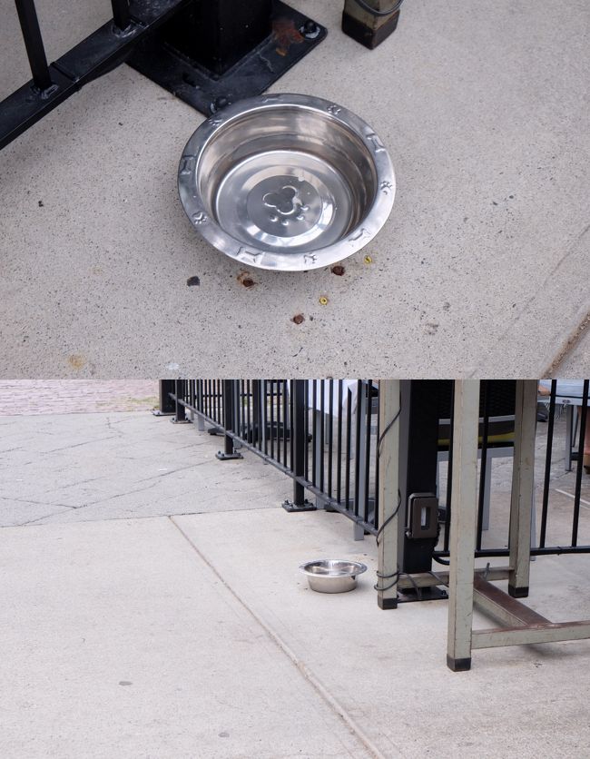 ドッグイベントをやっているからなのか、あちらにもこちらにも店先にはワンちゃん用の水が用意されていました。<br />いいなぁ、こういうの。<br /><br />うちのわがまま王子様犬はよそのワンコが飲んだ水は飲もうとしないので置いてあってもなくても一緒なんだけど（苦笑）気持ちがね、うれしいよね。