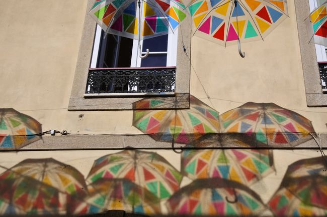 本物はどれでしょう。