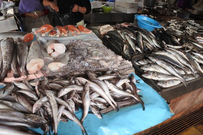 　これは，カテドラル近くのマーケットで撮った一枚です。新鮮なお魚たち。