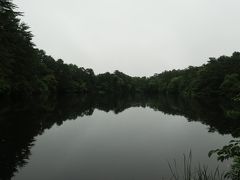 五色沼の1つである柳沼まで歩いたところで、雨が降ってきたため、ホテルに引き返す。