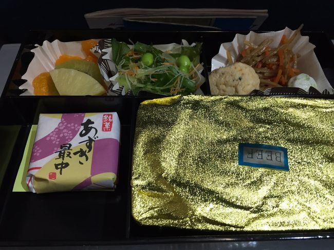 いざ、セブ島へ！<br />飛行機は、直行便が楽だろうということで、フィリピン航空のセブ行きに乗りました。<br /><br />行きは14:40成田発に乗り、約4時間45分の旅です。<br />荷物の搬入が遅れたとかで、15分ほど遅れての出発。<br /><br />機内は狭く、モニターも何もないので暇つぶしのために本とか、iPodとかを持っていくことをお勧めします。<br /><br />写真は昼食。機内食は１回。味は、まぁ…まぁ…っていう感じかな。。<br /><br />台風が来てたこともあり、行きは割と揺れました。