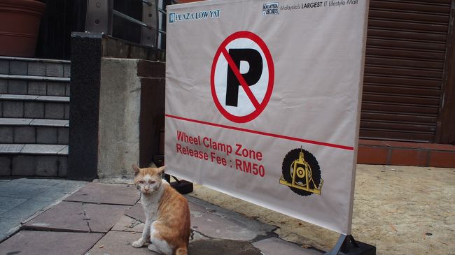 駐車禁止ですよ！（笑）