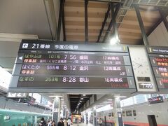 朝の東京駅。新幹線で移動します。最近は本当にえきねっと割引のトクだ値35が取れなくなりました。そんなわけでモバイルSuica特急券で乗車します。だったらと言うことではやぶさに乗車します。