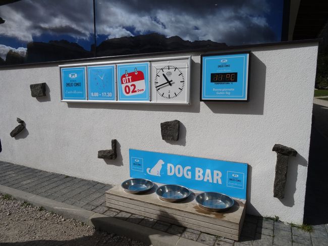 小屋のそばに犬の水飲み場（DOG BAR!)があるのが楽しい