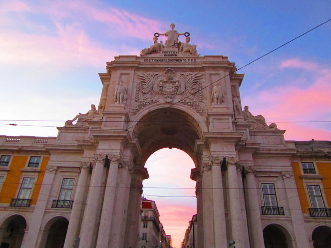 ピンクとブルーのコラボレーション！！美しい(>_<)