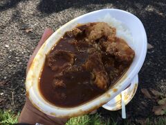 から揚げ入りカレー。