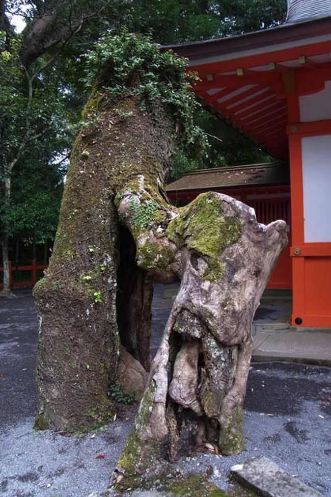 あわや台風との戦い 住吉神社 宇佐神宮編 宇佐 豊後高田 大分県 の旅行記 ブログ By まいまいさん フォートラベル