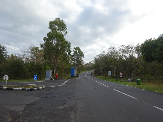 舗装路を歩いて宿へ