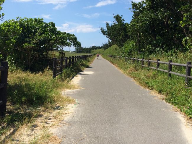 また今日も、離れてしまいました。<br />待ってよ〜。