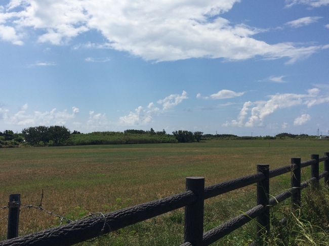 北海道のような景色ですね。