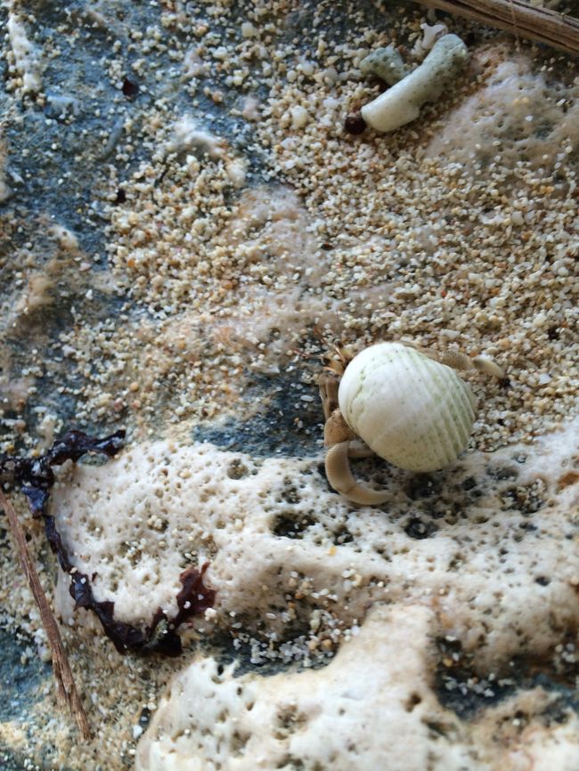 あまりにも夢中になり過ぎて、岩場に頭をぶつけてしまいました(笑)