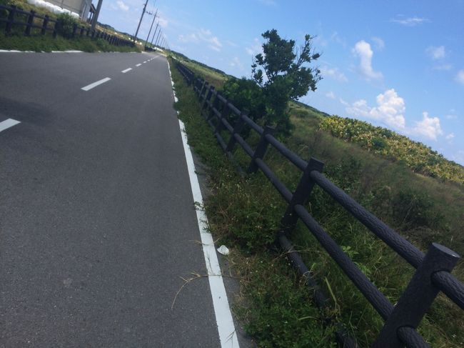 車も自転車も人も、全然すれ違いません。