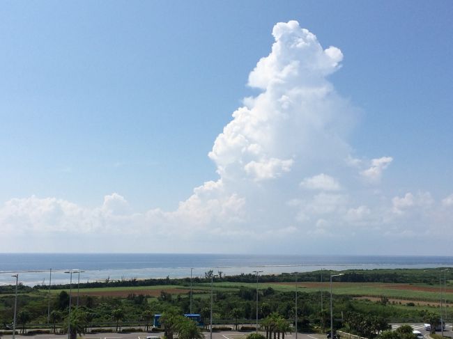 展望台から見納めです。