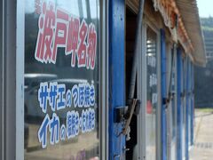 波戸岬へは、これを目的にやってきたのです