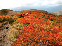 振り返れば真っ赤。
日本一の紅葉といわれるだけあります。