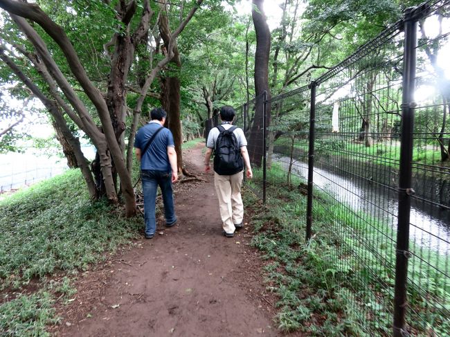 Japan コミュニティー・ウォーキングシリーズ(9) 玉川上水から