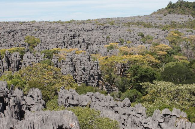森を抜けるともっと凄かった