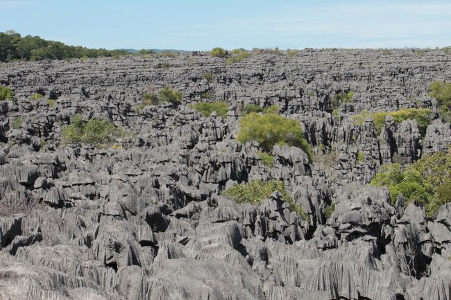 足裏のマッサージになりそうなくらいトゲトゲな岩