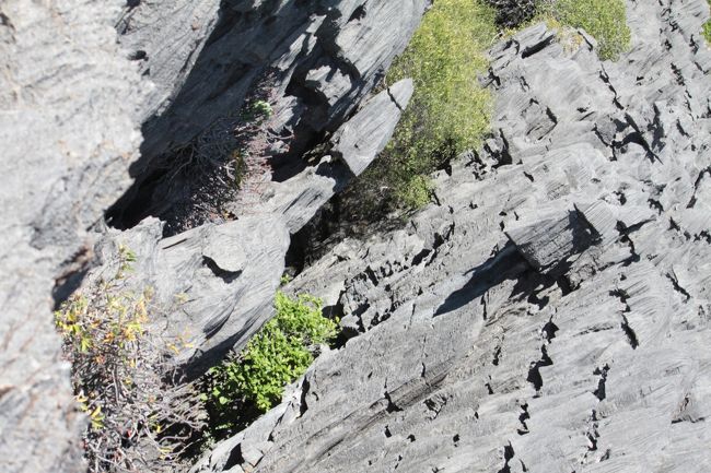 高さは大体30〜40ｍくらい<br />木が生えているので高低差も感じず全く怖くありません