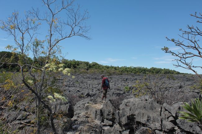 道がないように見えてもちゃんとありますよ